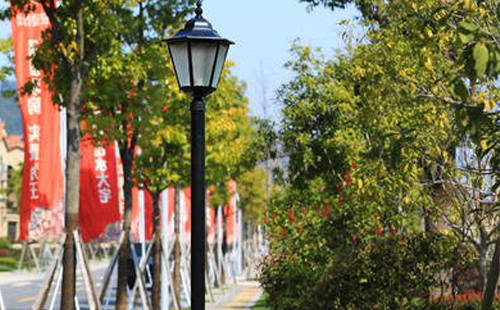 装昌都庭院灯避坑指南：庭院路灯防雷接地要点